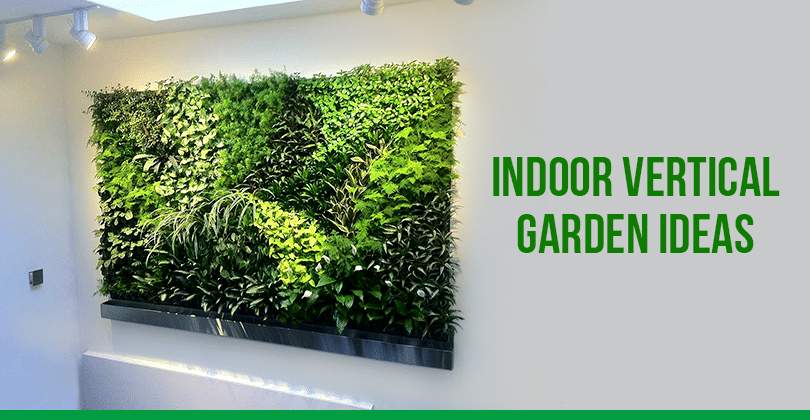 Indoor Vertical Garden: Unknown Health Facts and Ways to Create at Home ...